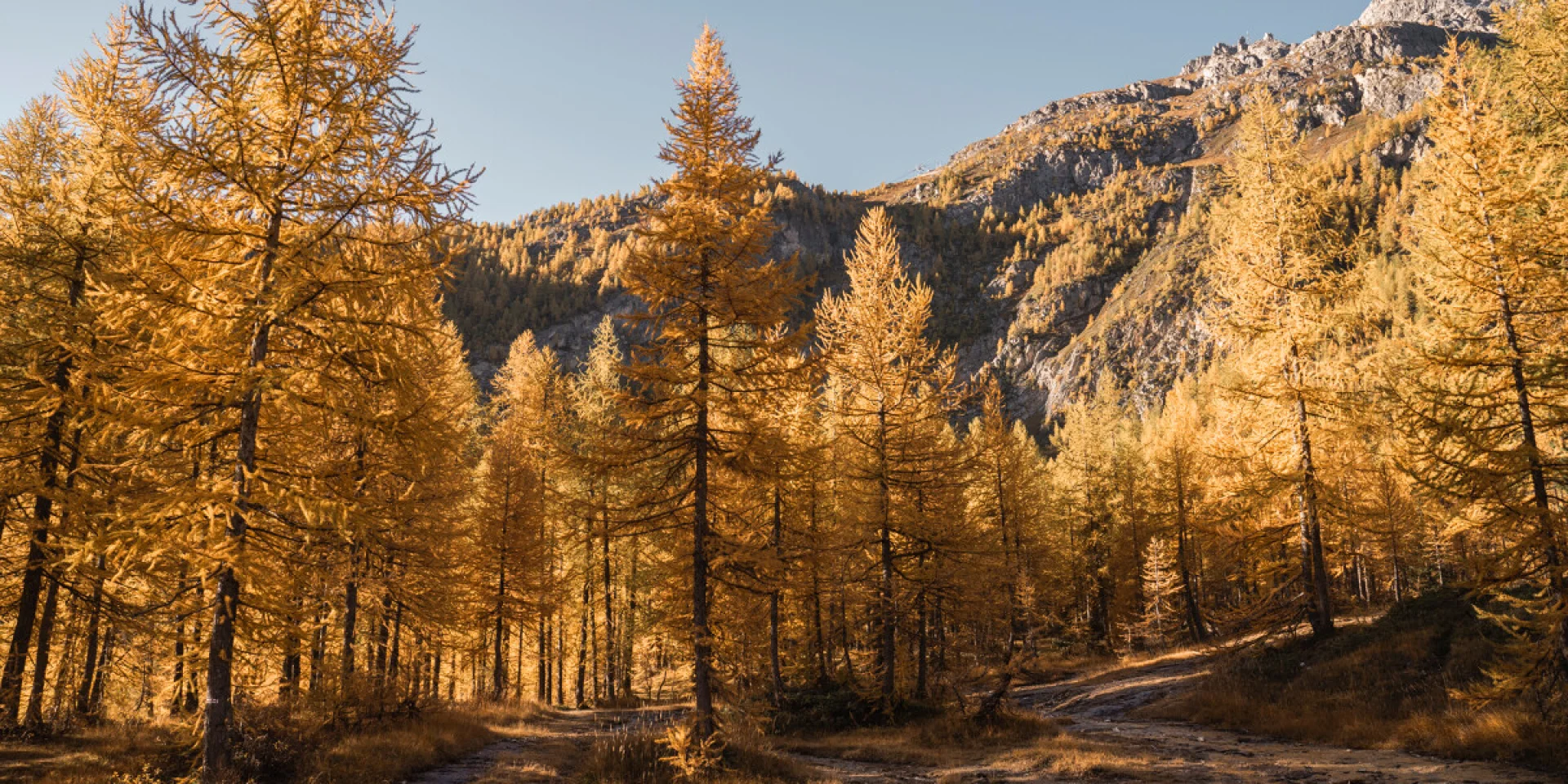 Autumn Hiking 6846 1200px