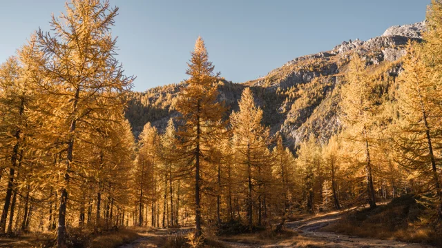 Autumn Hiking 6846 1200px