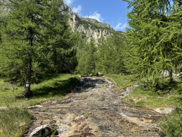 Les Sources à La Daille en été